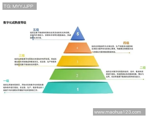 成都羽毛球队实力分析与表现评估：数据背后的故事与未来展望