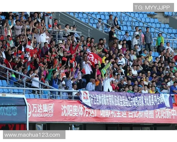 央视足球明星评语解析与球迷互动的精彩瞬间分享