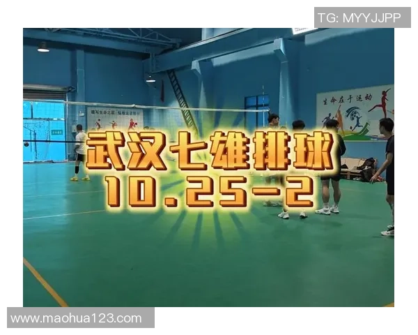 广州排球队意识变革引发热议推动排球运动新发展