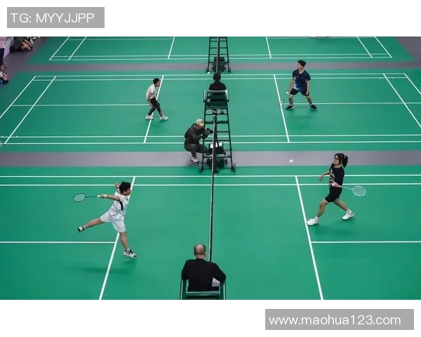 羽毛球盛宴：深入解析南京羽毛球队的默契配合与战术运用